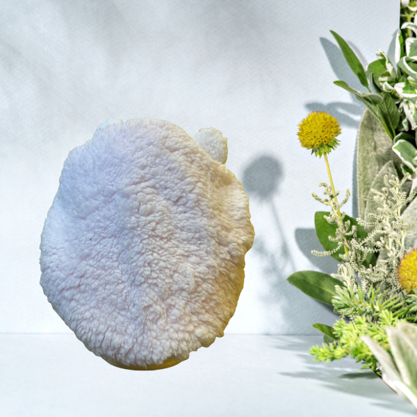 Cozy white bonnet gift for her